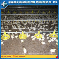 Low Cost Steel Poultry Layers House Buildings Design Poultry Broiler Shed